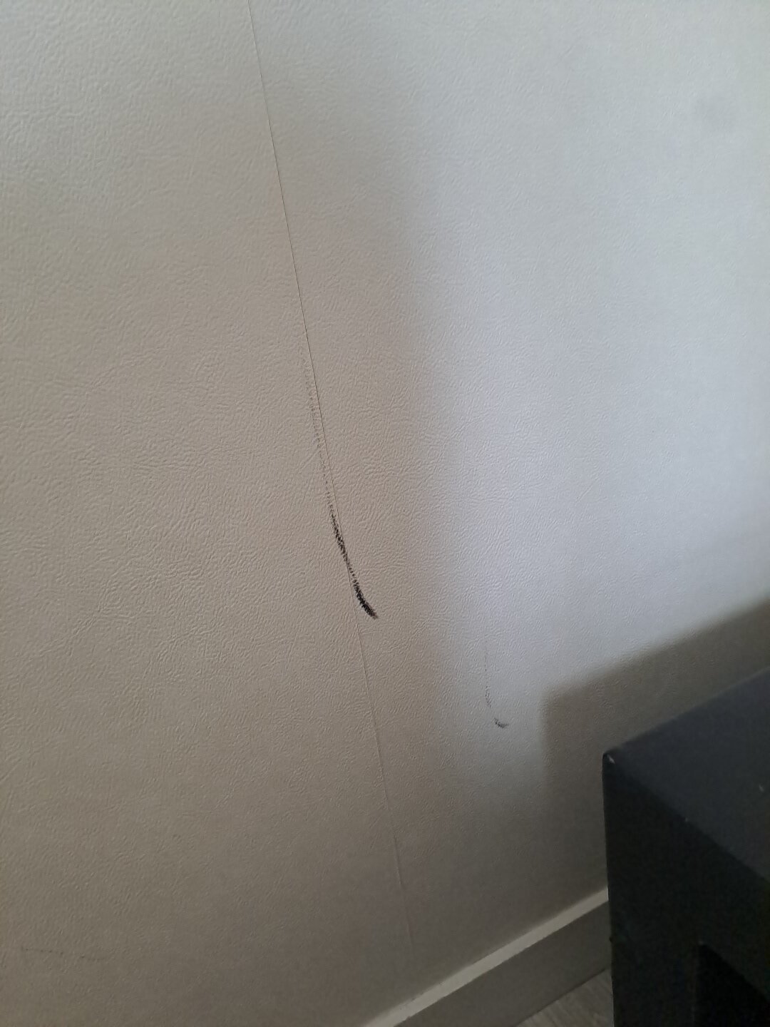 Hotel de la Saulaie-客卧