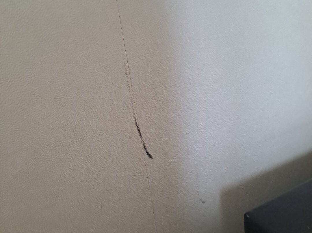 Hotel de la Saulaie主图