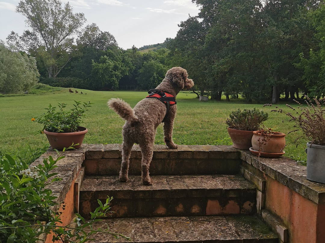 Agriturismo La Sorgente主图