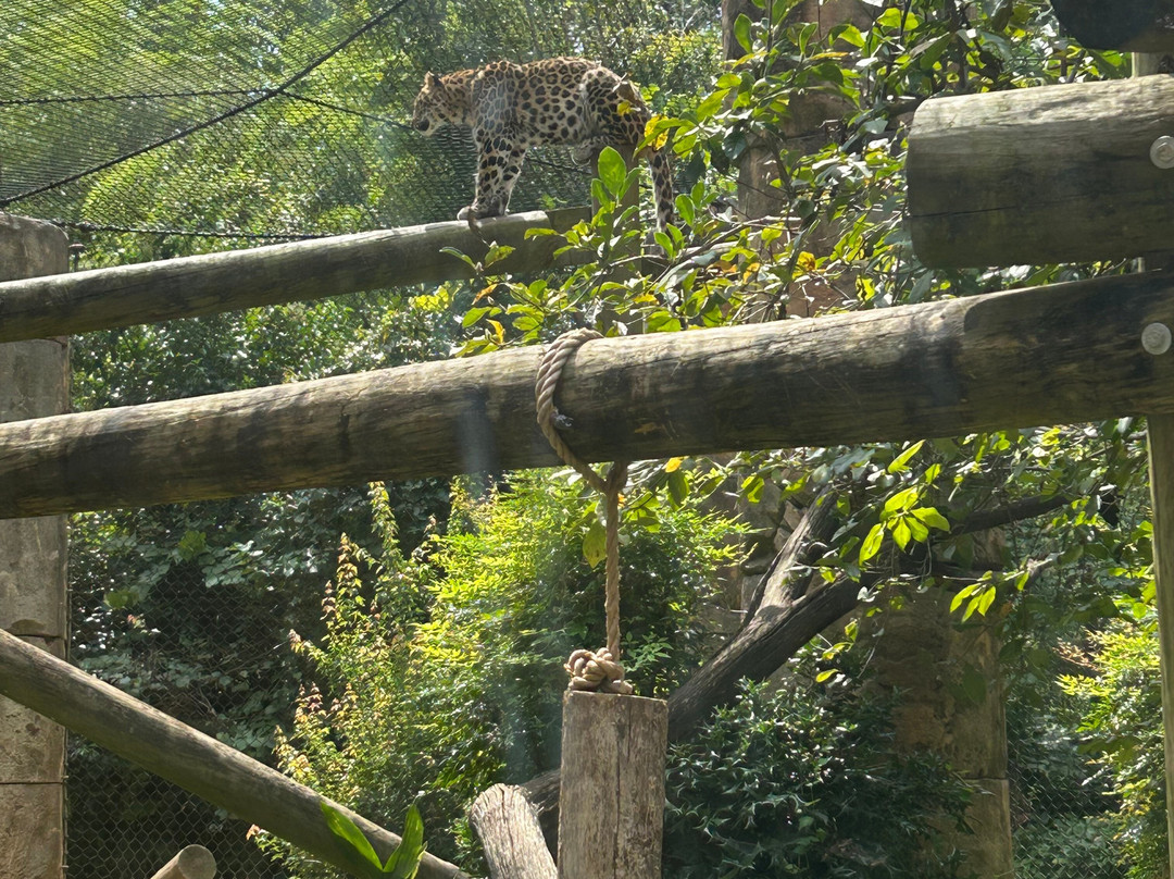 Greenville Zoo-格林维尔必去景点