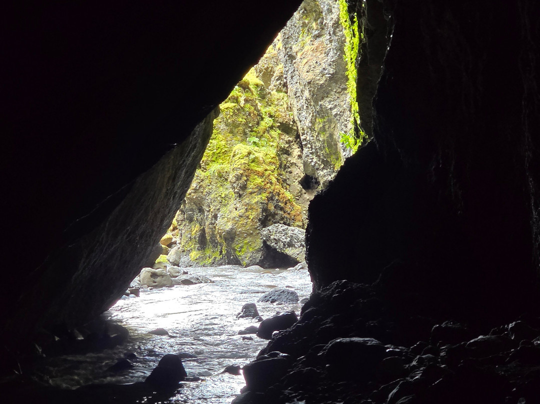 Into The Wild-科帕伏古必去景点