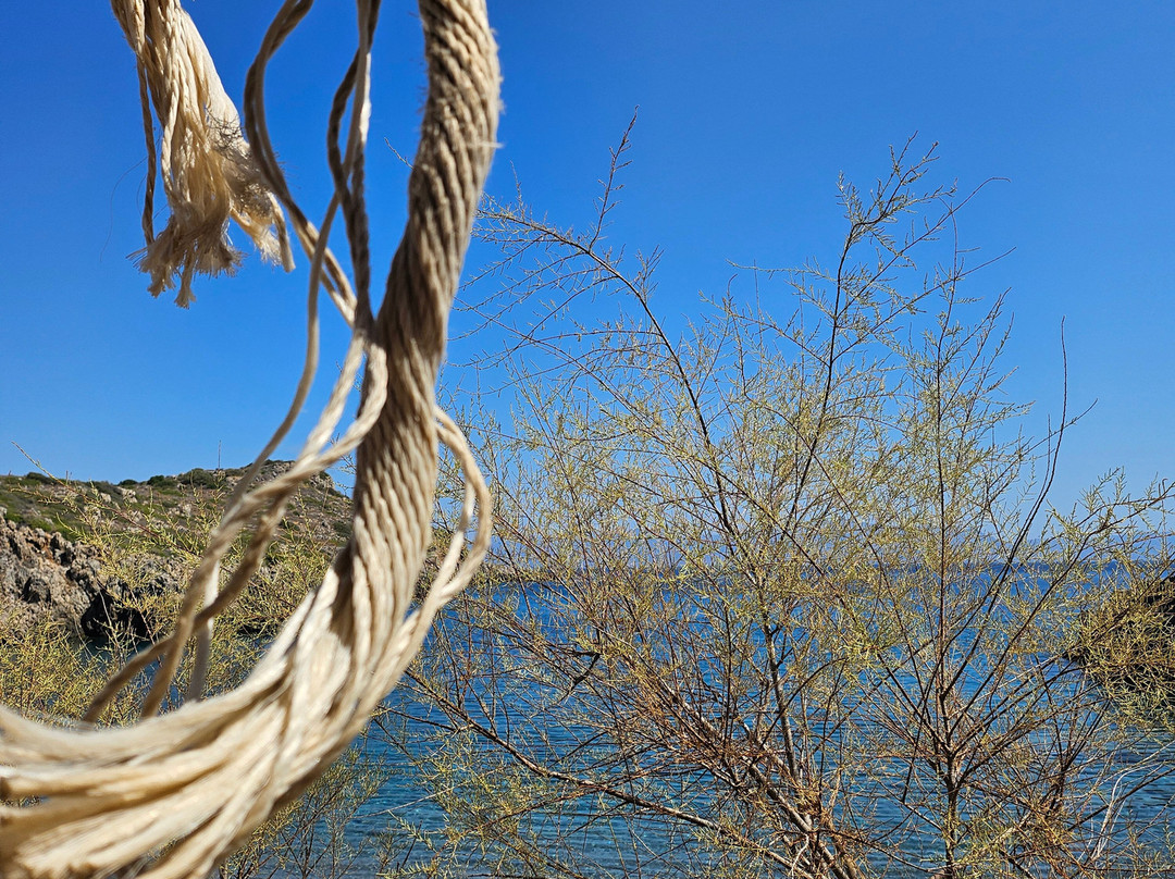 Lidea Boutique Hotel主图