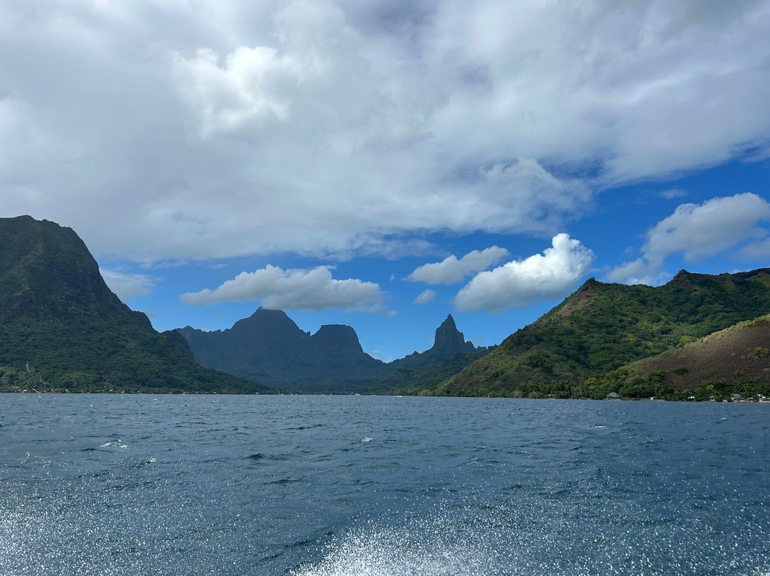 Scubapiti-莫雷阿岛必去景点