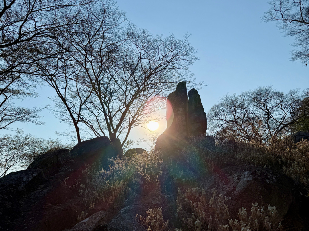 Murenje Eco Safaris-West Nicholson必去景点