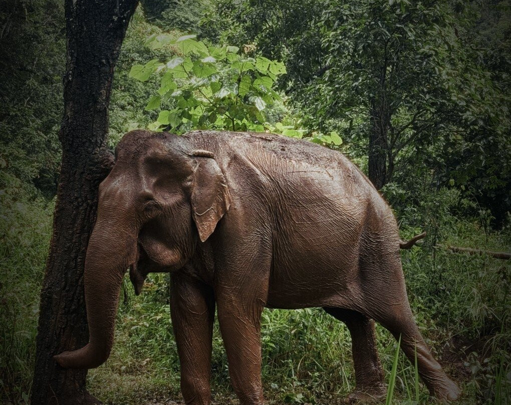 Mondulkiri Project-森莫诺隆必去景点