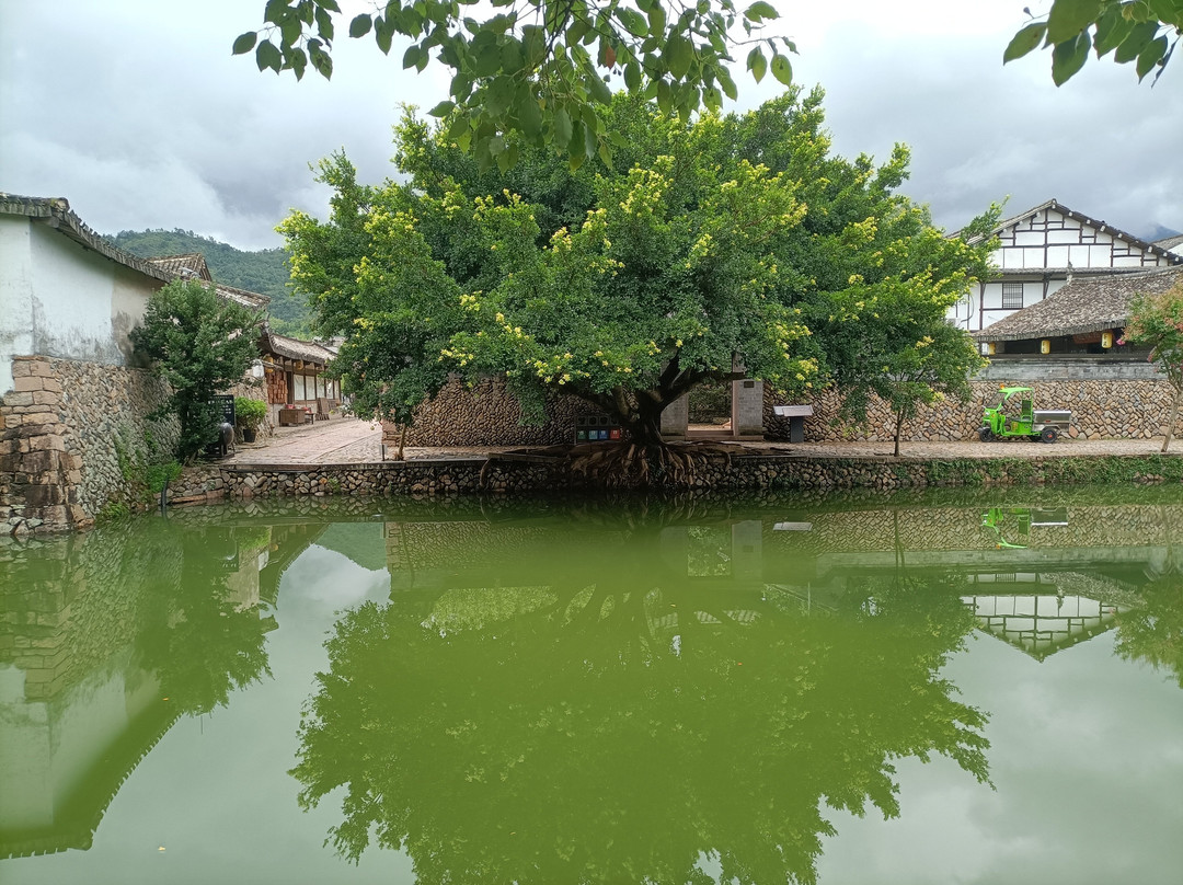 苍坡古村-永嘉县必去景点