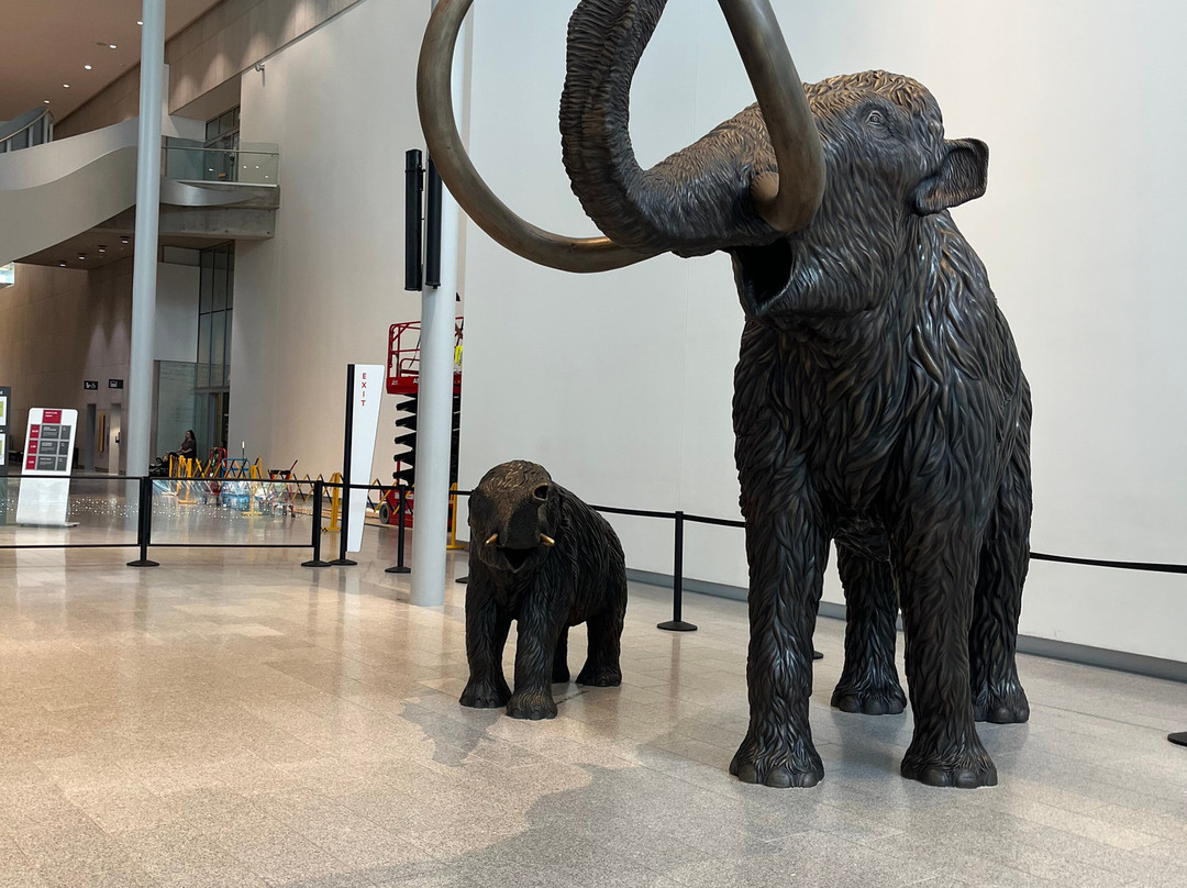 艾伯塔皇家博物馆-埃德蒙顿必去景点