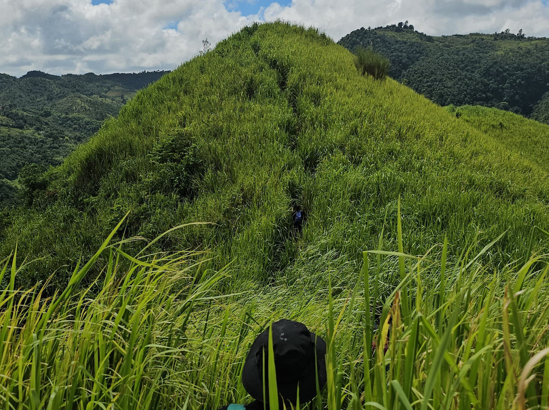Cerro Mime-Orocovis必去景点