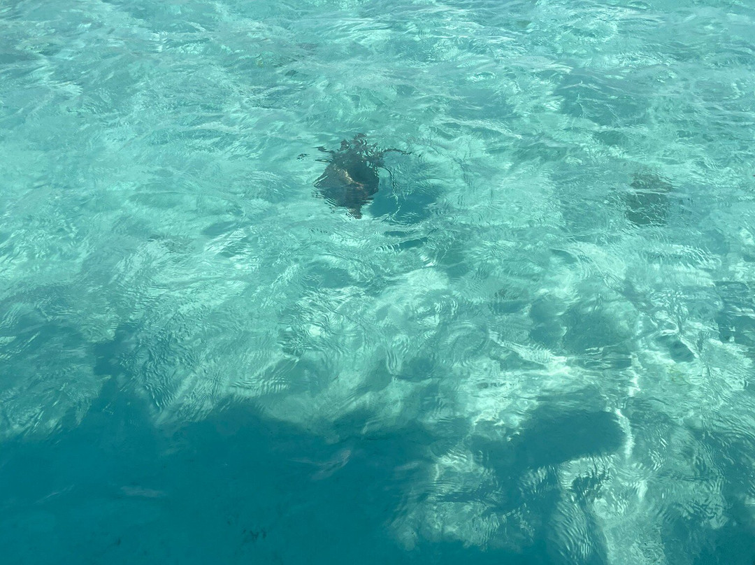 Ocean's Whisper-开普马欧呵必去景点