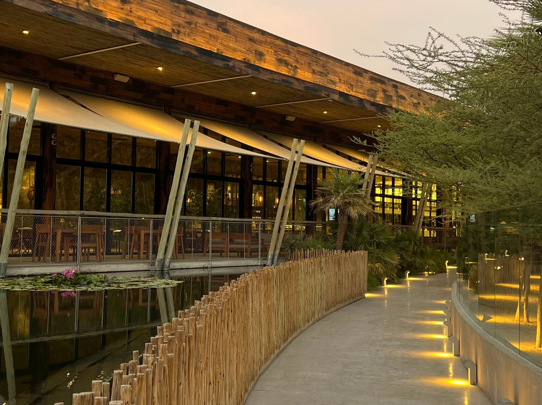 Dubai Crocodile Park-迪拜必去景点