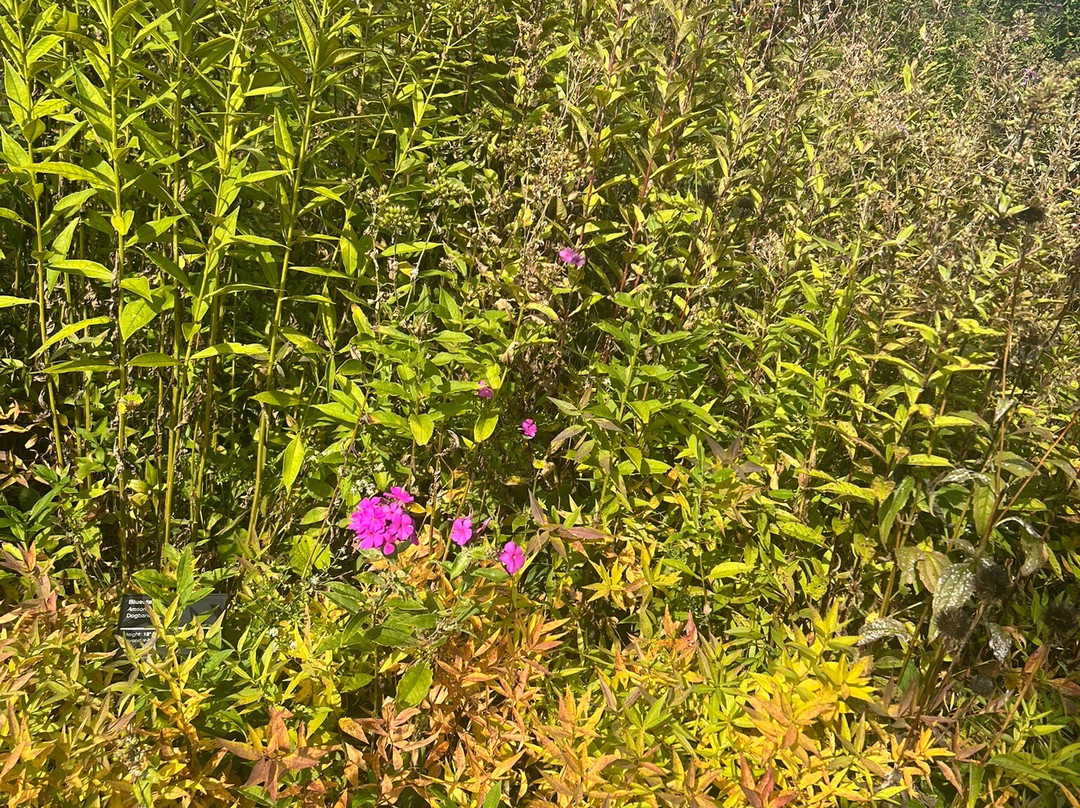 Holiday Inn Cleveland-Mayfield by IHG主图