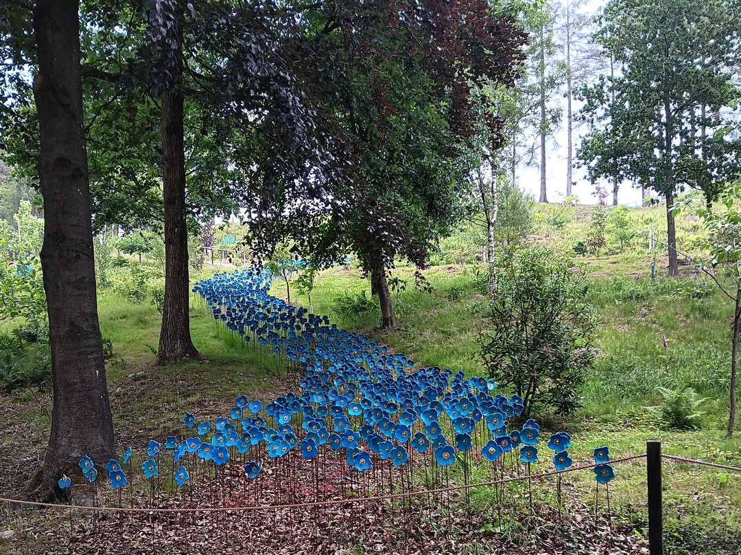 Himalayan Garden & Sculpture Park-Grewelthorpe必去景点