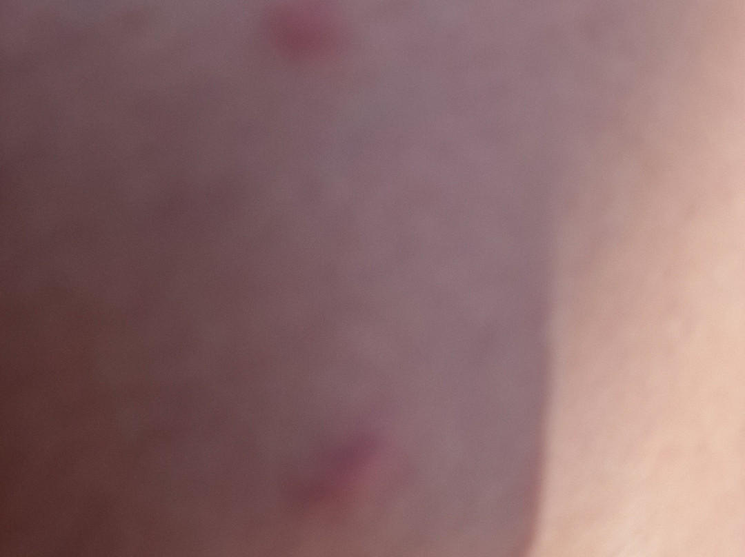 Best Western Hotel Green City主图