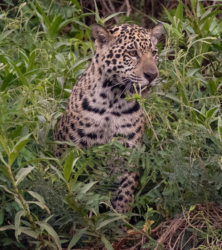 Wild Eye-弗维斯必去景点