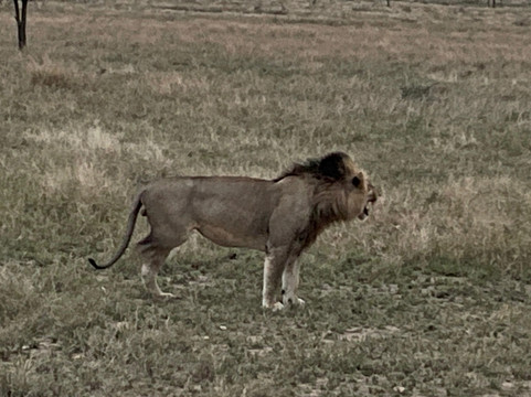 Forever Athletic-内罗毕必去景点