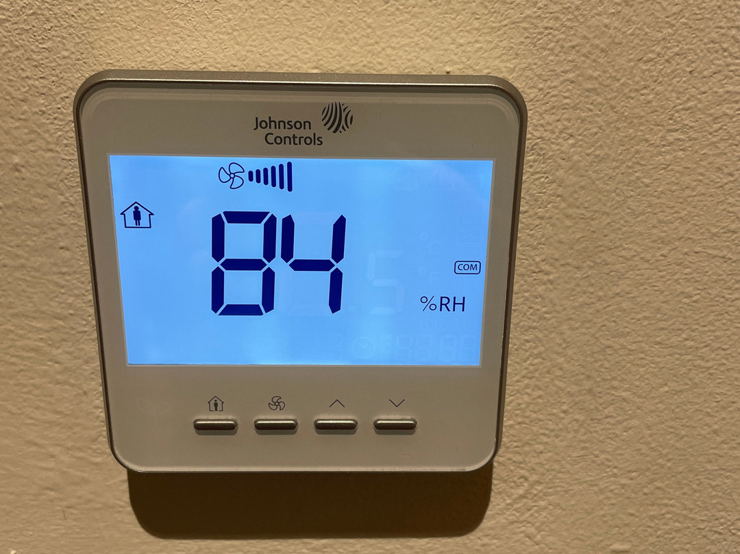 Ocean Coral Spring主图