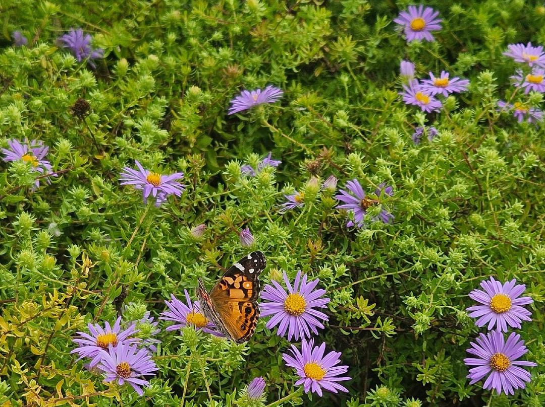 Delaware Botanic Gardens-Dagsboro必去景点