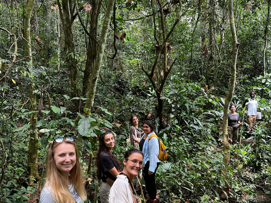 Mpanga Central Forest Reserve-坎帕拉必去景点