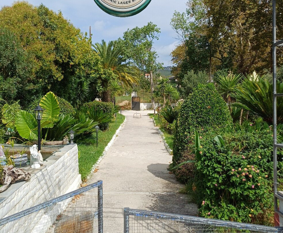 Studio Jimmy's主图