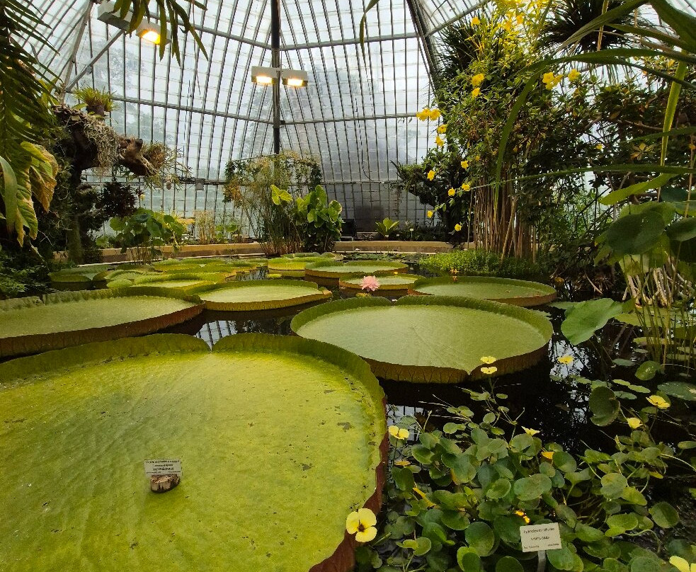 Bergius Botanic Garden-斯德哥尔摩必去景点