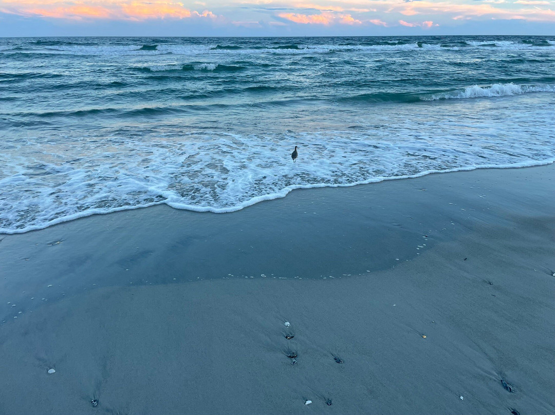 Sea Vista Motel主图