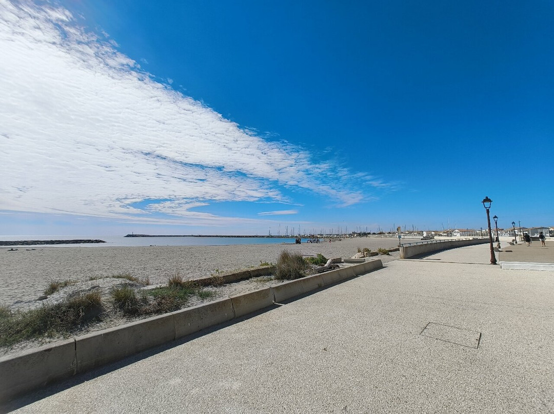 Le Petit Train Camarguais-滨海圣玛丽必去景点