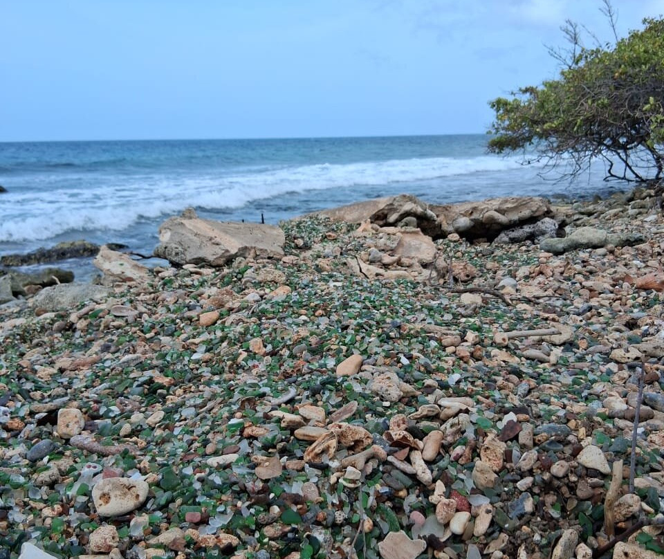 Sea Glass Tours Aruba Powered by Tranquilo Charters N.V.-萨瓦内塔必去景点