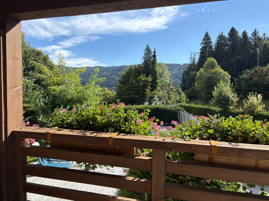 Hôtel Les Bas Rupts主图