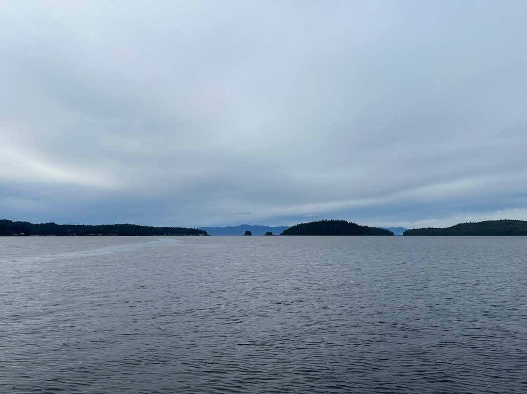 Hump Island Oyster & Kelp Farm with Tasting-凯奇坎必去景点