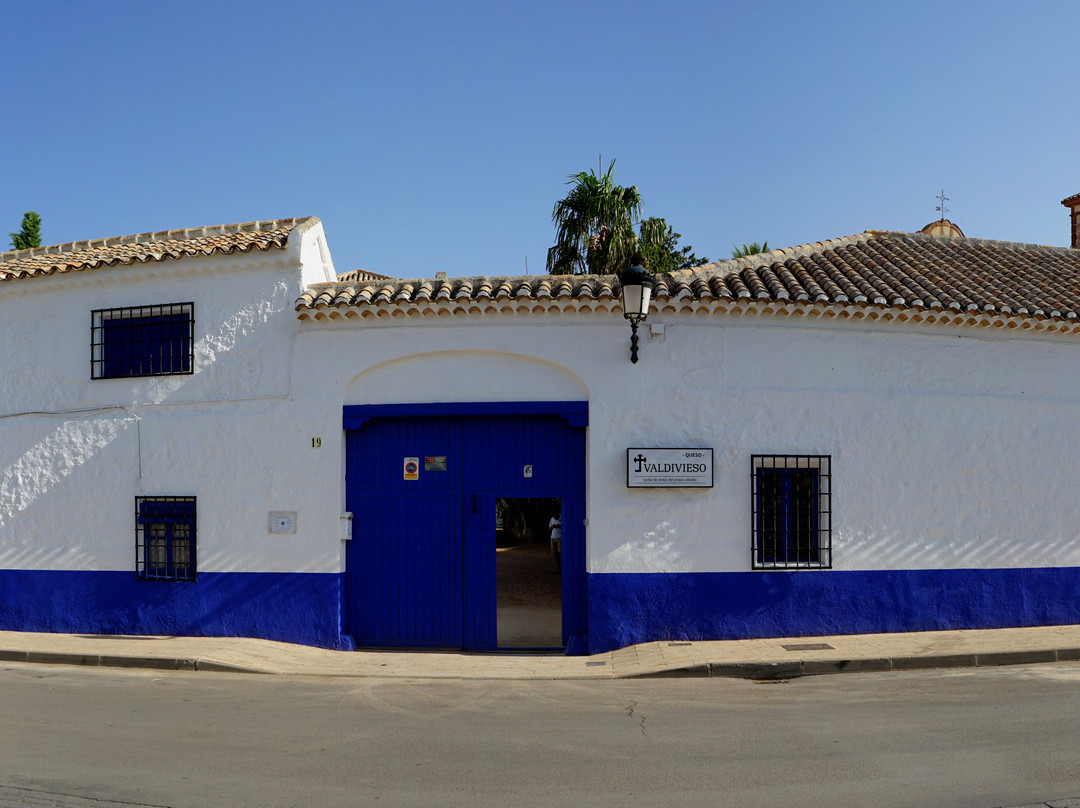 Finca Valdivieso-Campo de Criptana必去景点