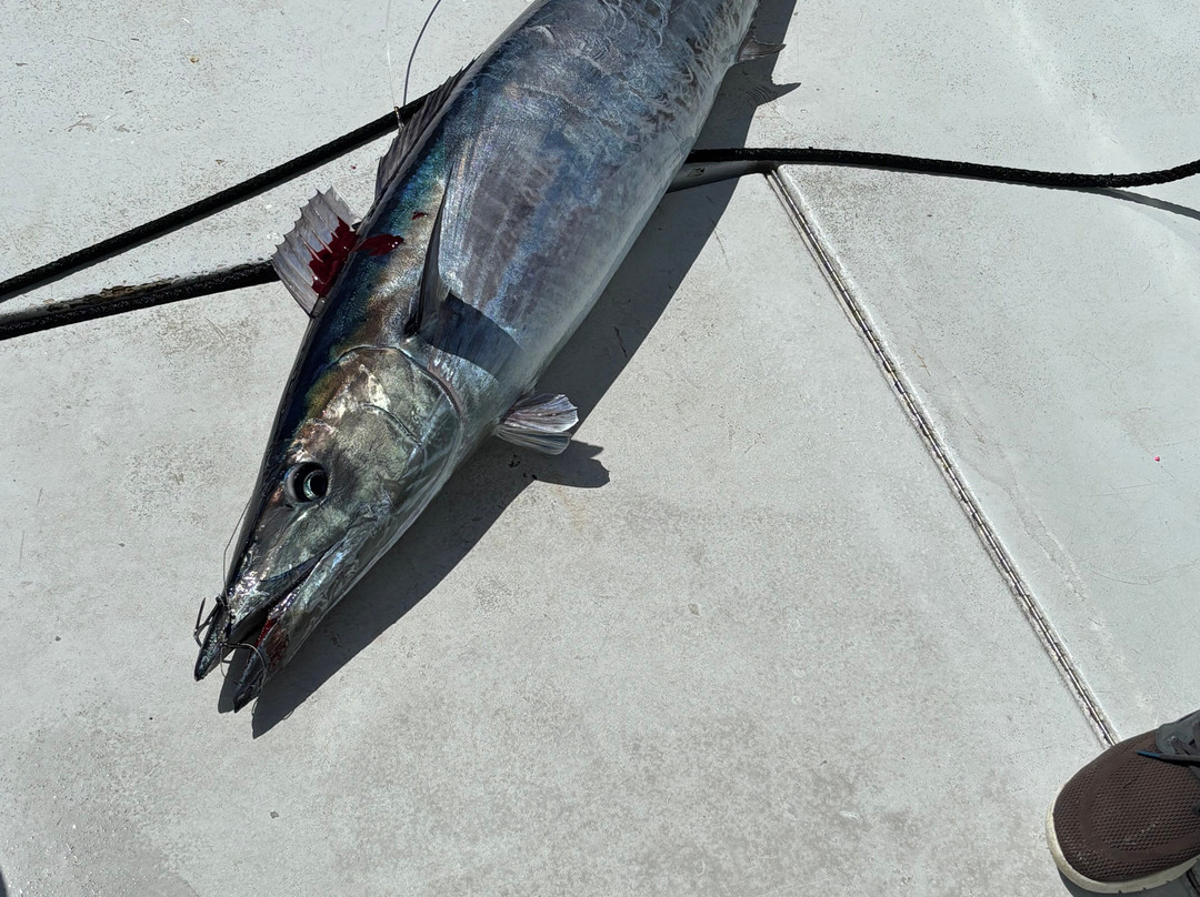 Paradise One Sports Fishing Charters-Somerset Village必去景点