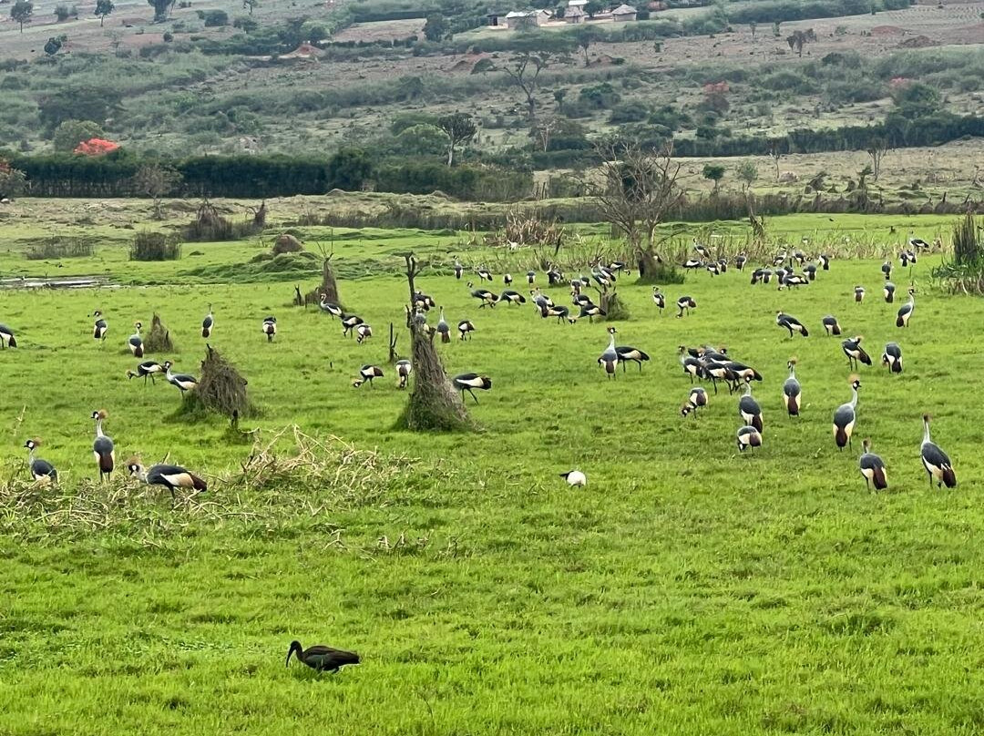 Kidepo Valley National Park-Kaabong必去景点