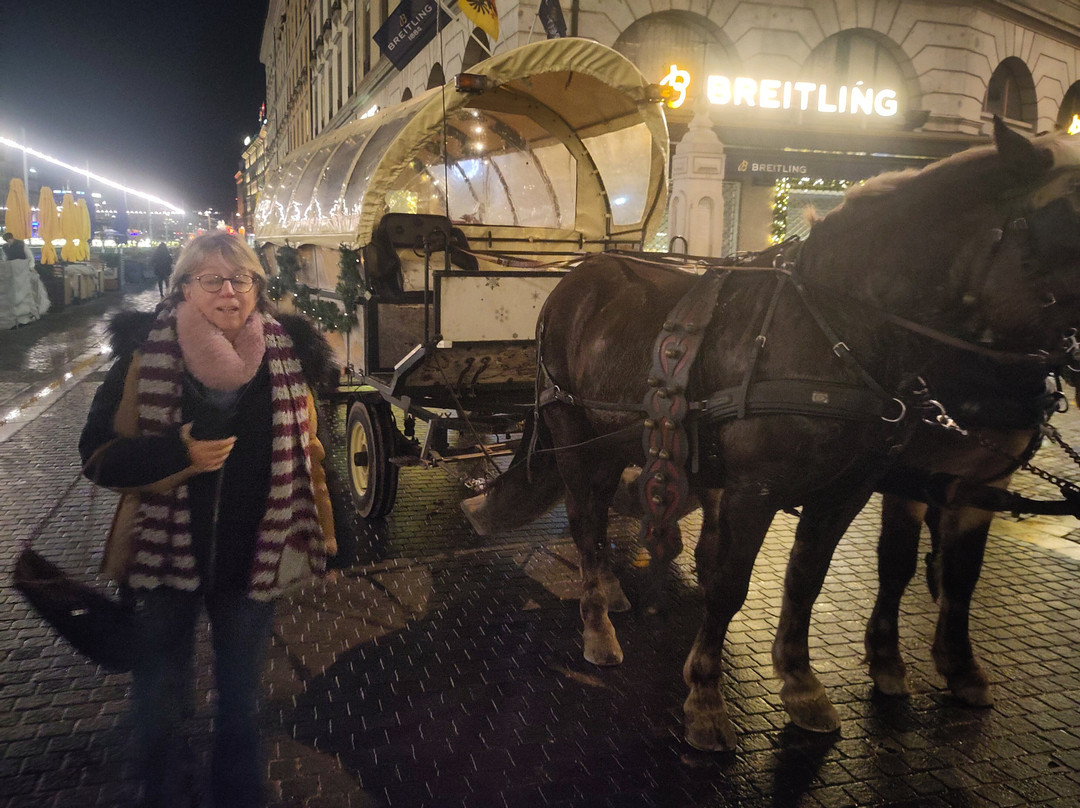 Les Attelages du Léman-Vernier必去景点