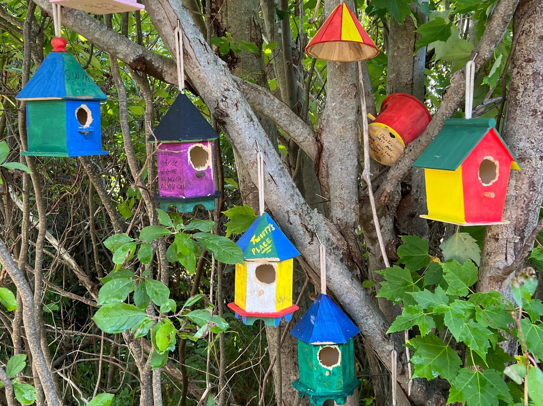 Bay Walk Boardwalk Trail System-萨默赛德必去景点