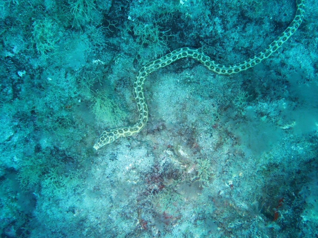 Buceo La Restinga-La Restinga必去景点