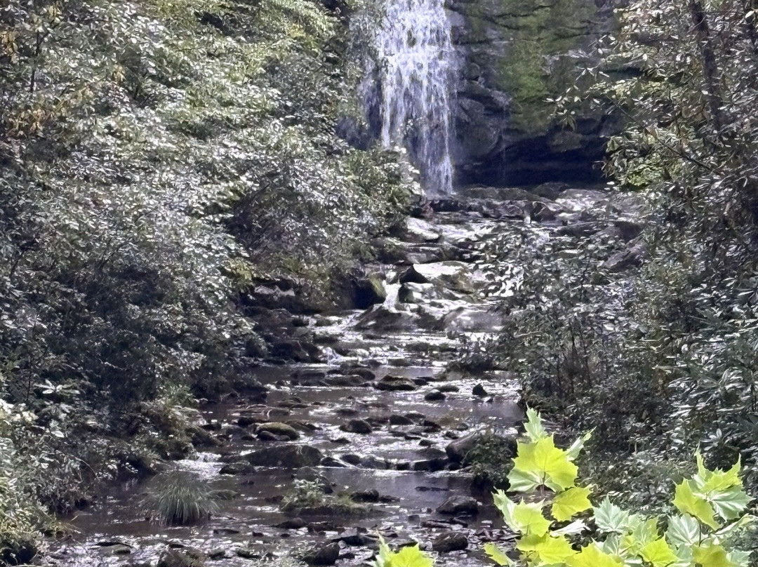 Meigs Falls-大雾山国家公园必去景点