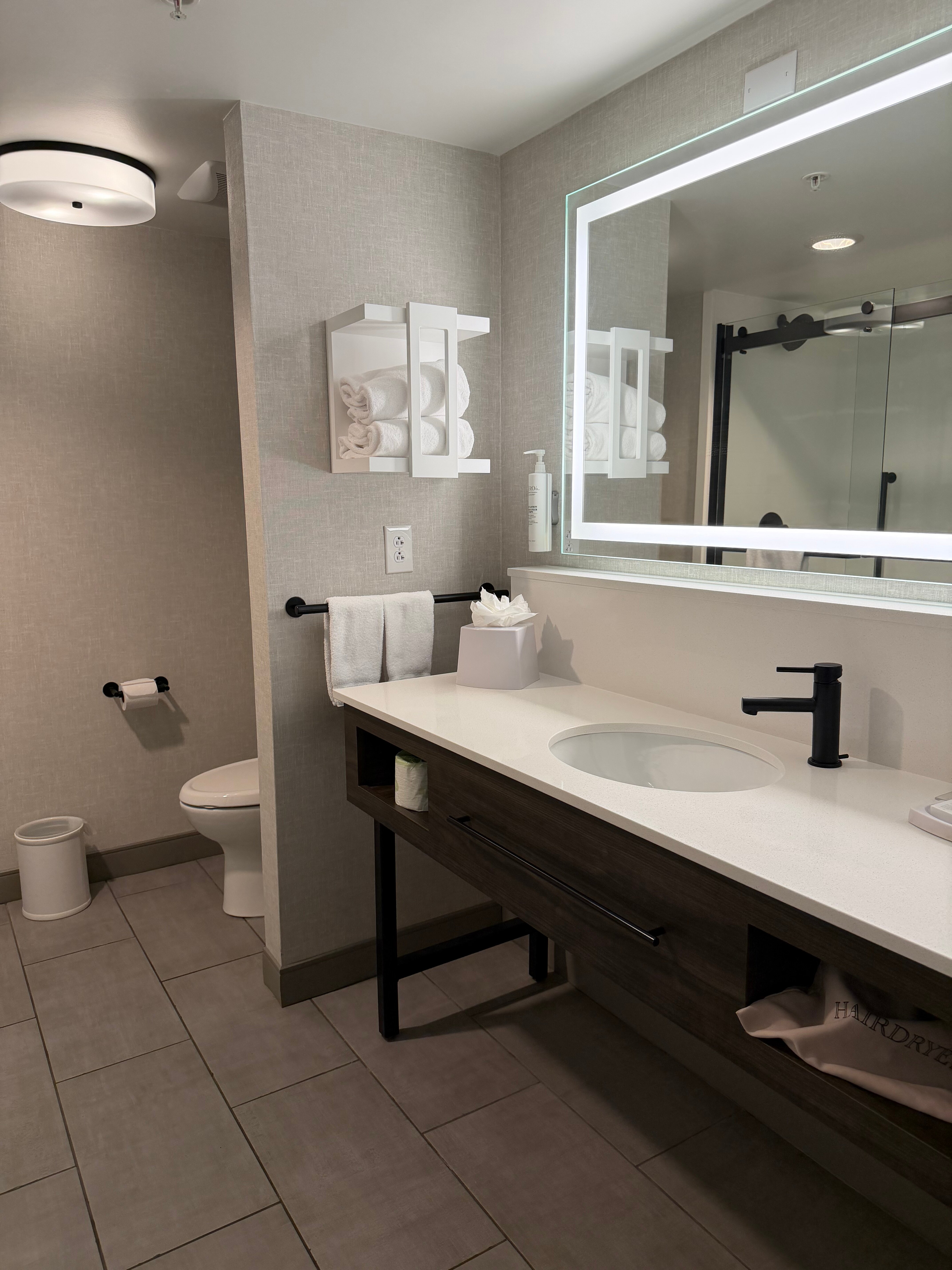 Hampton Inn & Suites Greenville-Downtown-RiverPlace-浴室