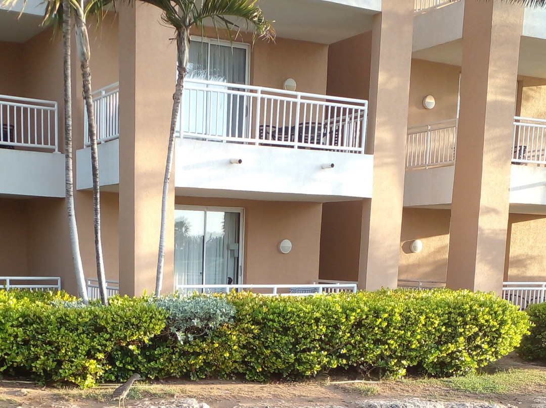 迪威村高尔夫和海滩度假酒店主图