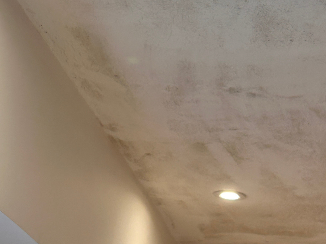 The Busfeild Arms主图