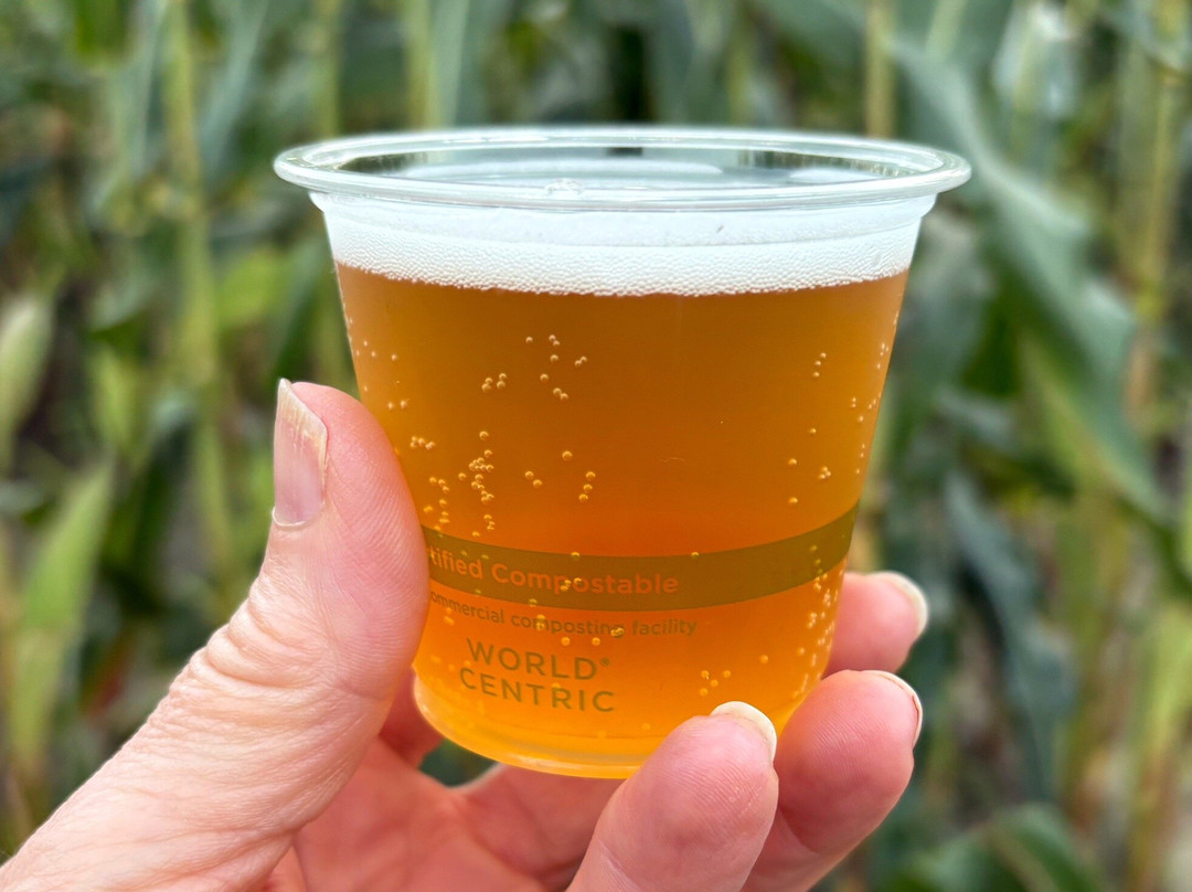 Mike's Maze-Sunderland必去景点