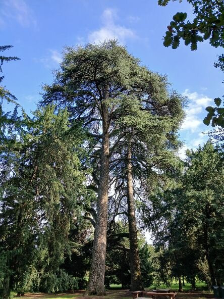 Parco di Villa Annoni-Cuggiono必去景点