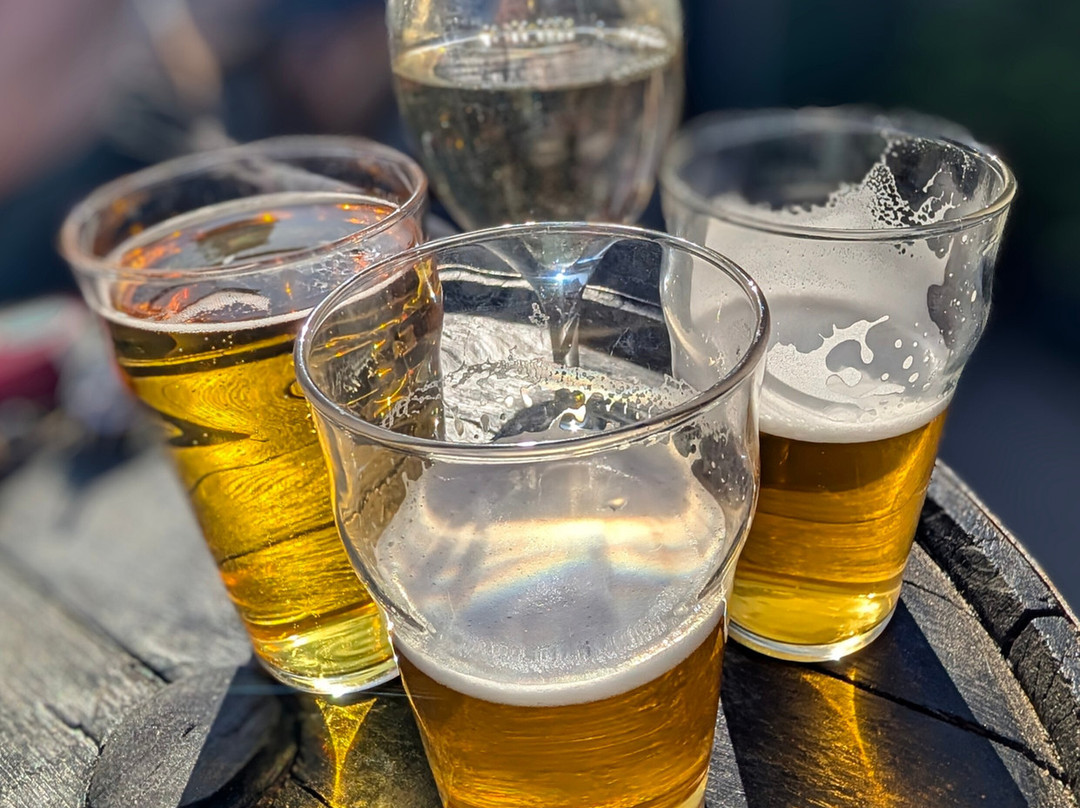 Drone Valley Brewery-Dronfield必去景点