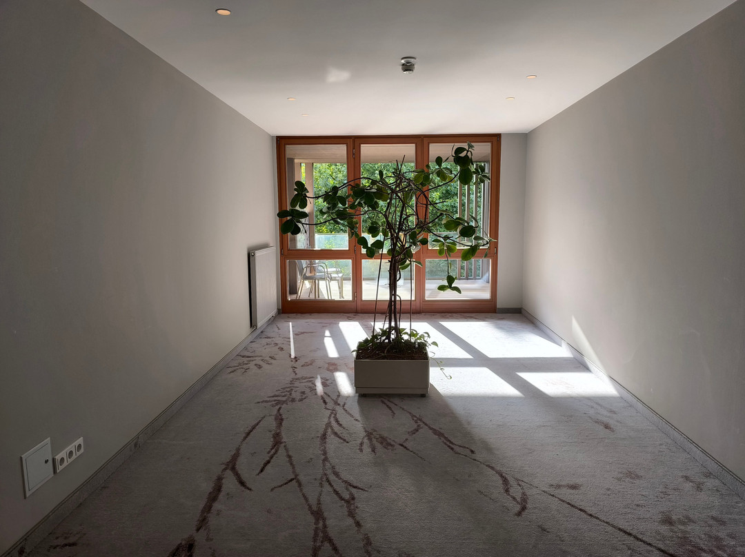 Heilthermen Resort Bad Waltersdorf主图