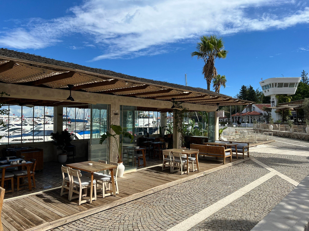 Aia Sushi&seafood Restaurant