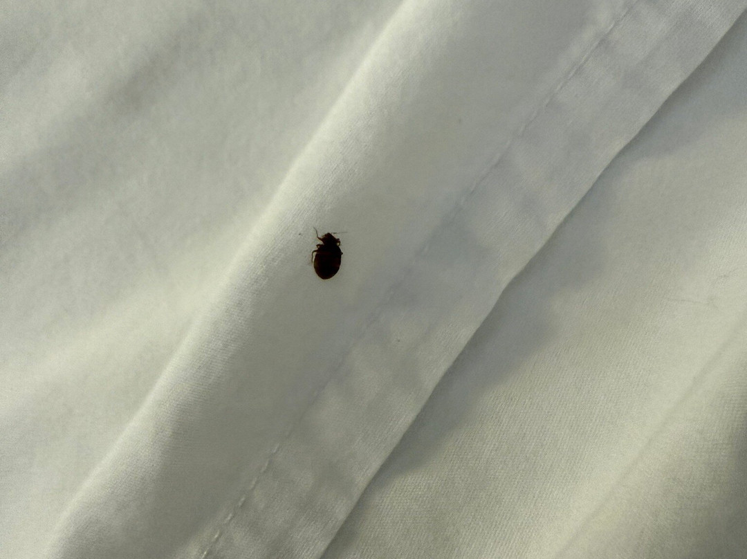 费尔霍普汉普顿酒店主图