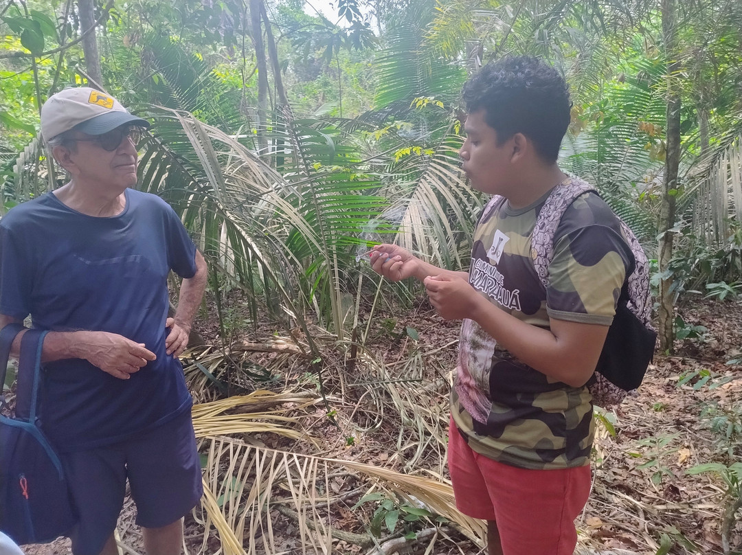 Cronos Transfer Ecoturismo-Alter do Chao必去景点