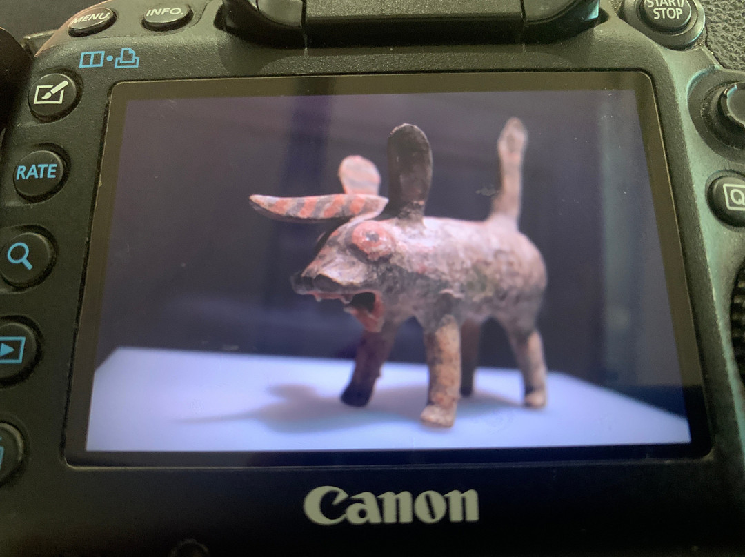 西澳博物馆-珀斯必去景点