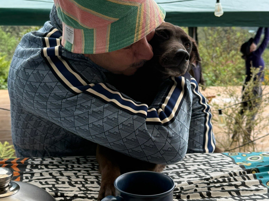 La Gloria Reserva Forestal主图