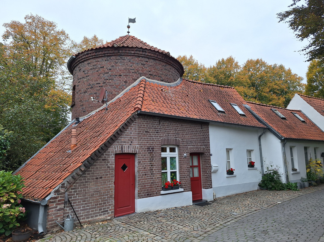 De Witte Molen主图