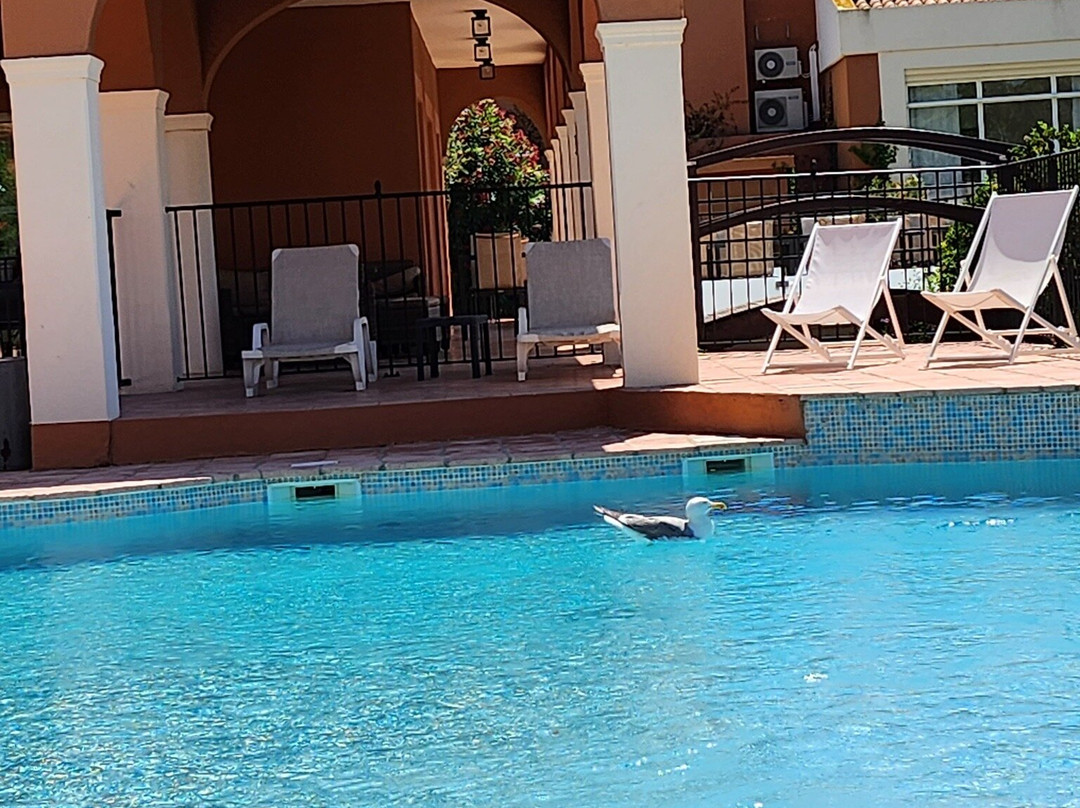 Le Palmyra Golf Hotel主图